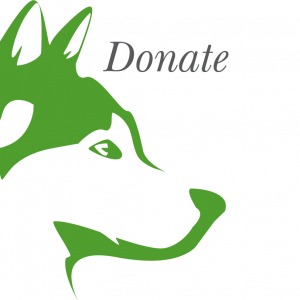 Donation